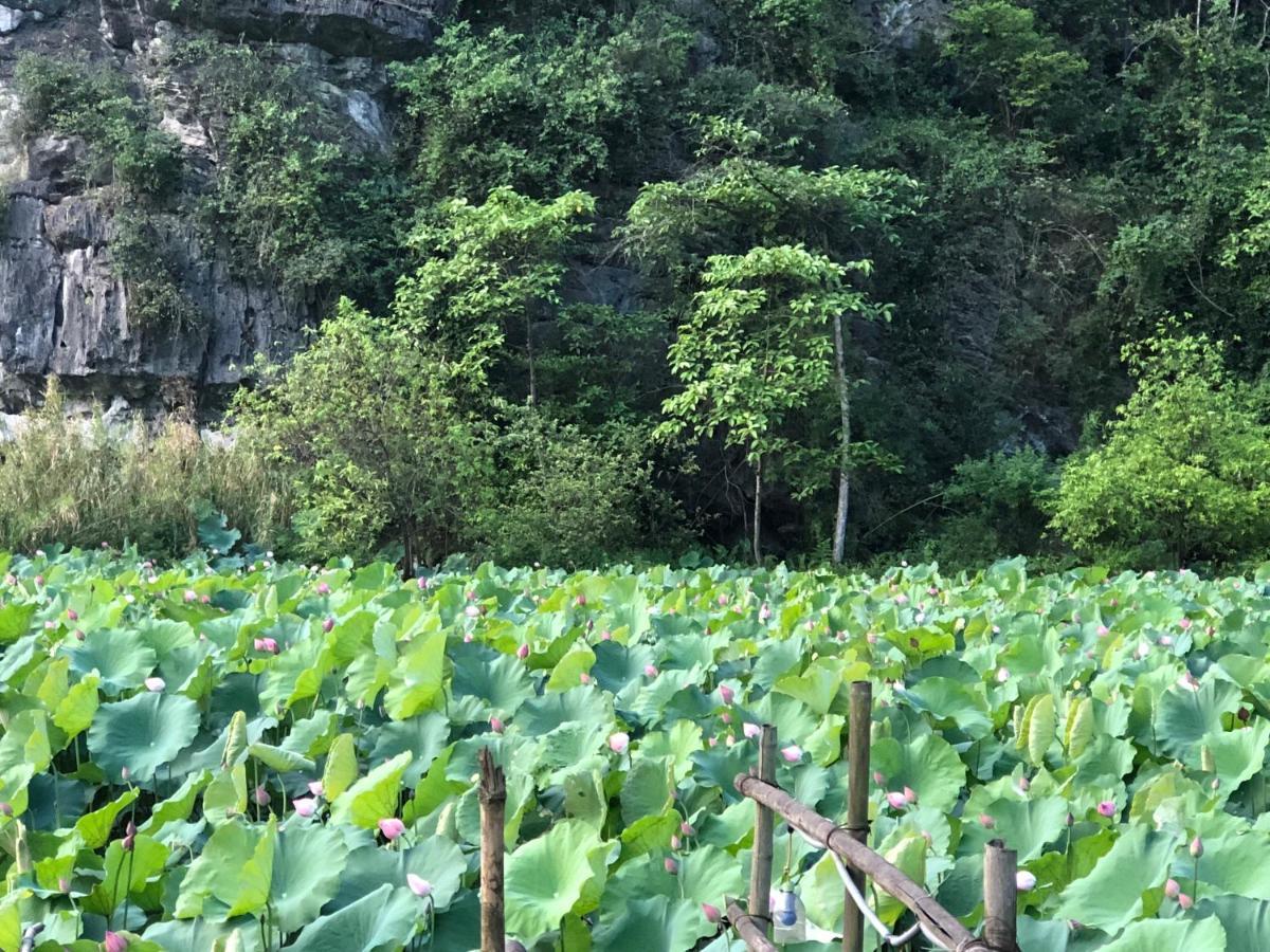 Trang An River View Homestay Ninh Bình Extérieur photo